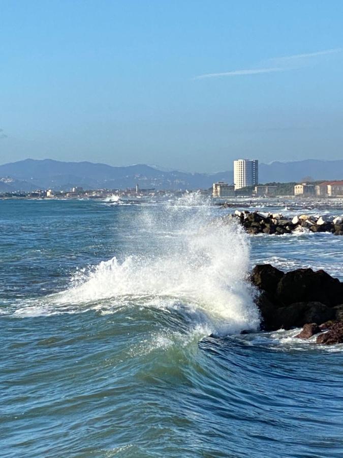 Ancora Bilocale Villa Marina di Massa Eksteriør bilde