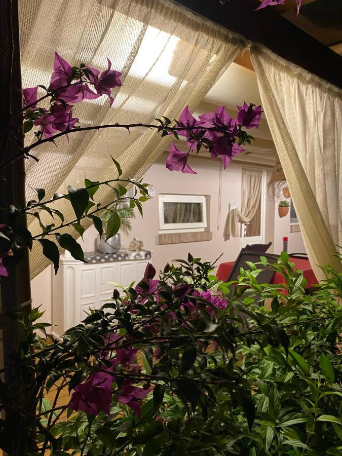 Ancora Bilocale Villa Marina di Massa Eksteriør bilde