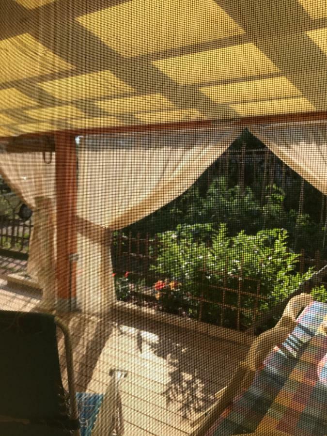 Ancora Bilocale Villa Marina di Massa Eksteriør bilde