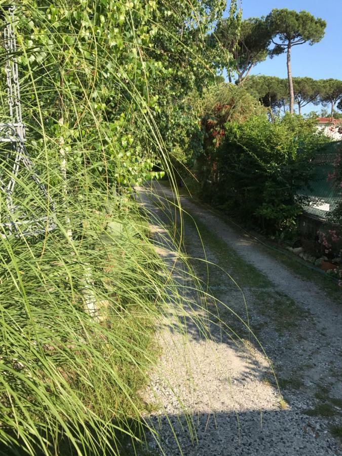 Ancora Bilocale Villa Marina di Massa Eksteriør bilde