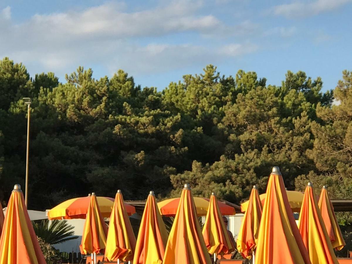Ancora Bilocale Villa Marina di Massa Eksteriør bilde